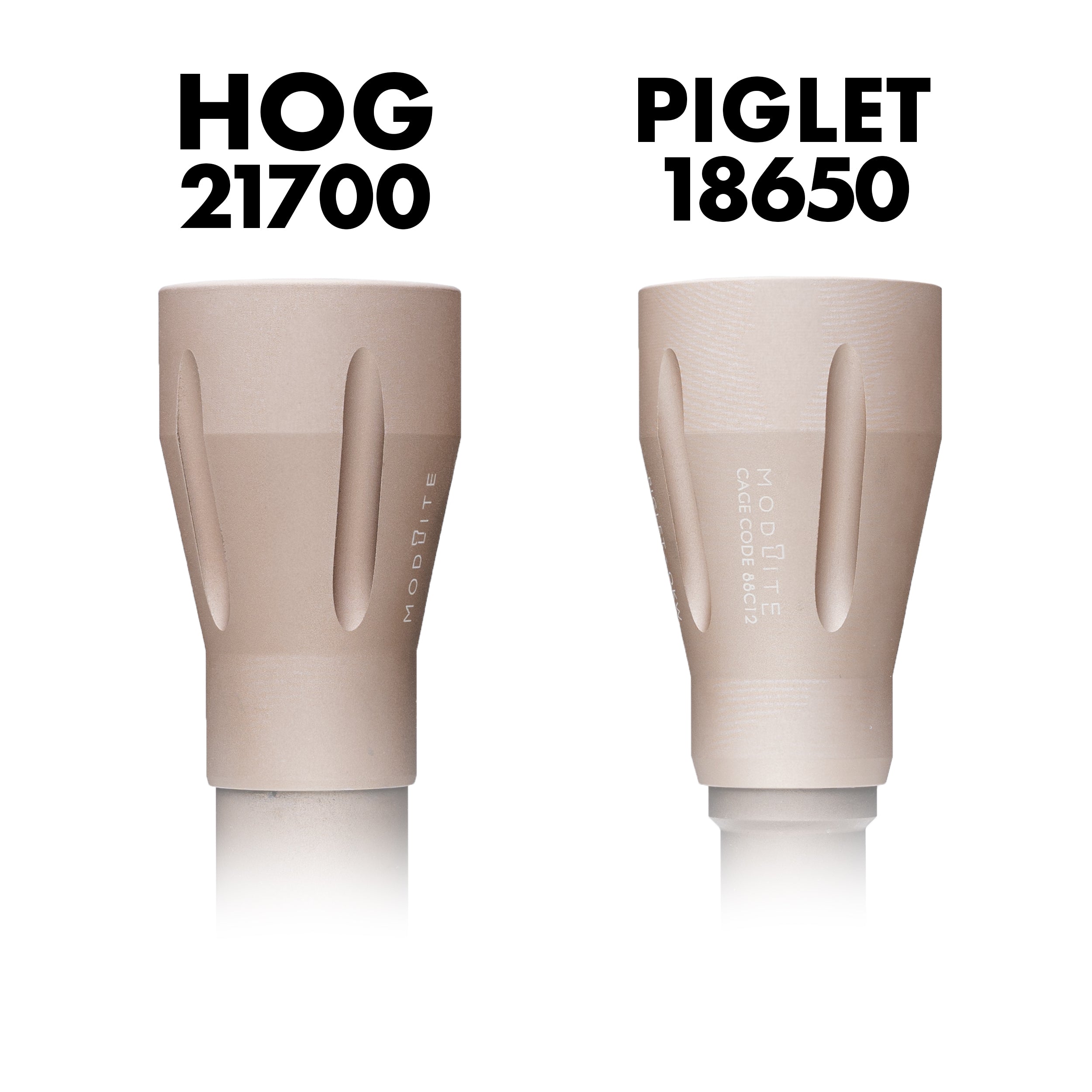 PIGLET Modlite Head