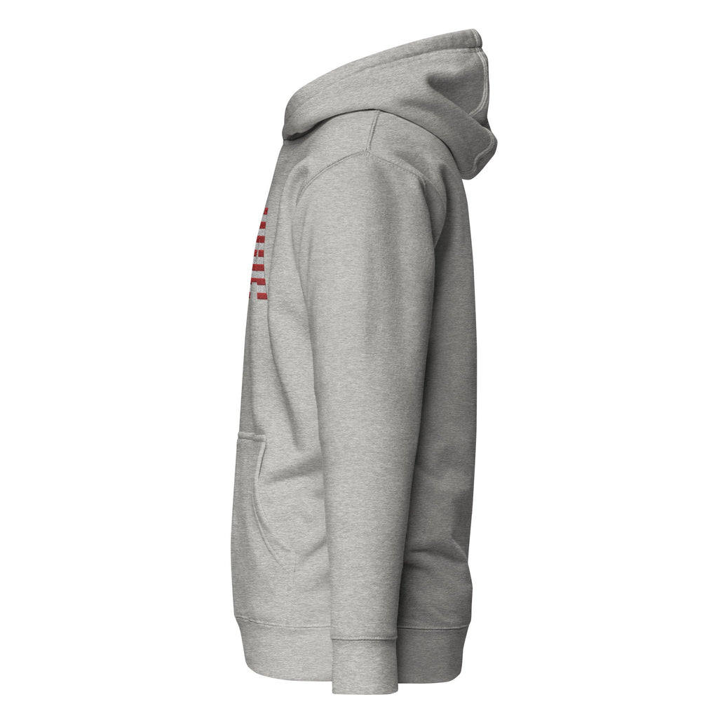 USA Large Embroidery - no sleeve skull - Runs small so size up - Unisex Hoodie