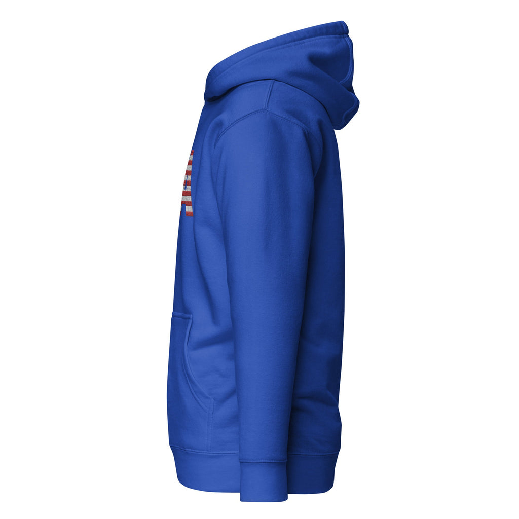 USA Large Embroidery - no sleeve skull - Runs small so size up - Unisex Hoodie